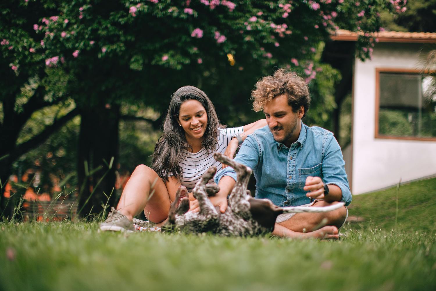 The Hidden Dangers of Pet Waste: Human Health Risks and Why Proper Pet Waste Removal Matters